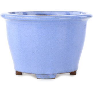 Shibakatsu (Katsuichi Shibata) 135 mm round light blue bonsai pot by Shibakatsu, Tokoname, Japan  Shibakatsu (Katsuichi Shibata) 135 mm round light blue bonsai pot by Shibakatsu, Tokoname, Japan