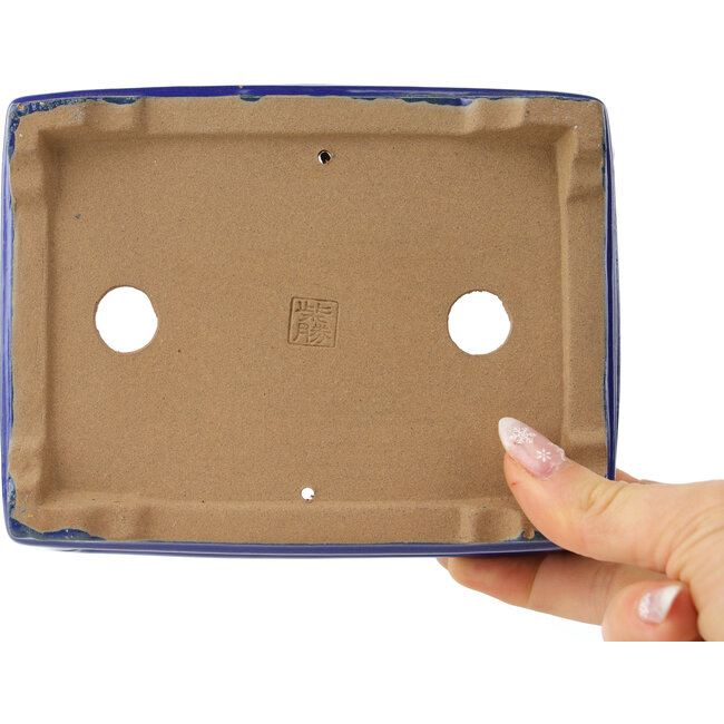 Pot à bonsaï rectangulaire bleu foncé de Shibakatsu - 153 x 120 x 47 mm