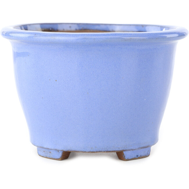 Vaso bonsai tondo azzurro chiaro di Shibakatsu - 135 x 135 x 90 mm