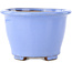 Round light blue bonsai pot by Shibakatsu - 135 x 135 x 90 mm