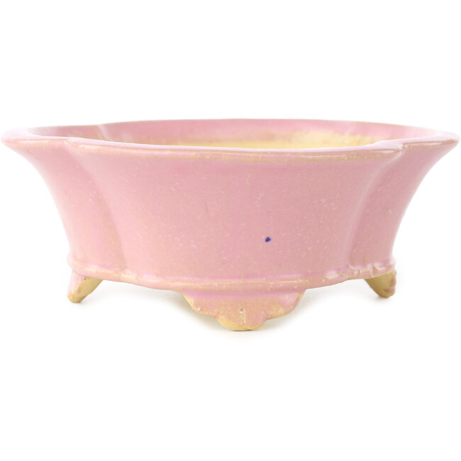 Pot à bonsaï rose Mokko de Shibakatsu - 175 x 155 x 55 mm