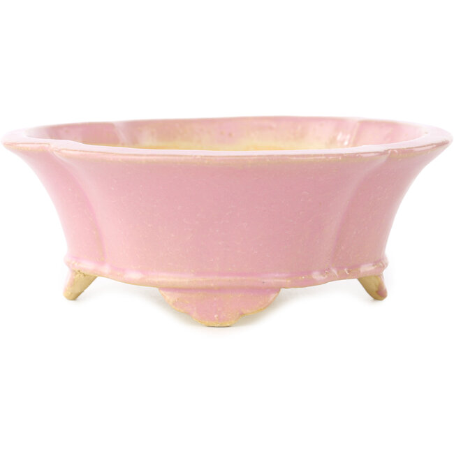 Pot à bonsaï rose Mokko de Shibakatsu - 175 x 155 x 55 mm