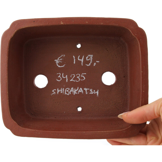 Rectangular unglazed bonsai pot by Shibakatsu - 185 x 152 x 63 mm
