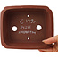 Maceta rectangular sin esmaltar para bonsái de Shibakatsu - 185 x 152 x 63 mm