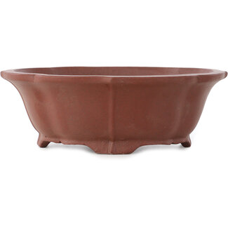  Shibakatsu (Katsuichi Shibata) 172 mm lotus unglazed bonsai pot by Shibakatsu, Tokoname, Japan