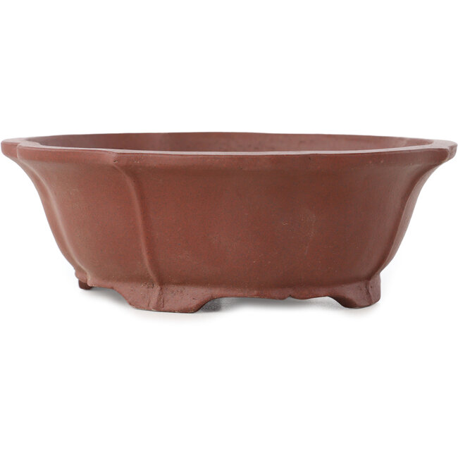 Lotus ongeglazuurde bonsai pot van Shibakatsu - 172 x 150 x 57 mm