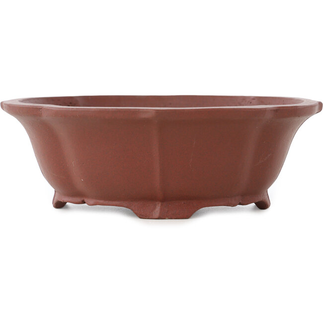 Lotus unglazed bonsai pot by Shibakatsu - 172 x 150 x 57 mm