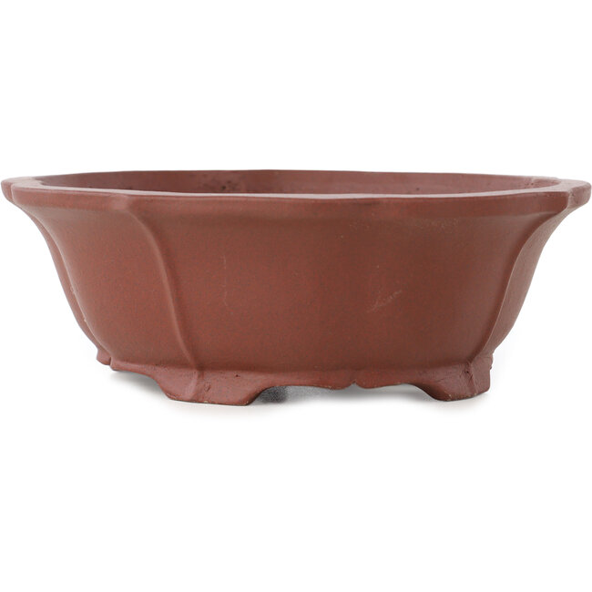 Lotus ongeglazuurde bonsai pot van Shibakatsu - 172 x 150 x 57 mm