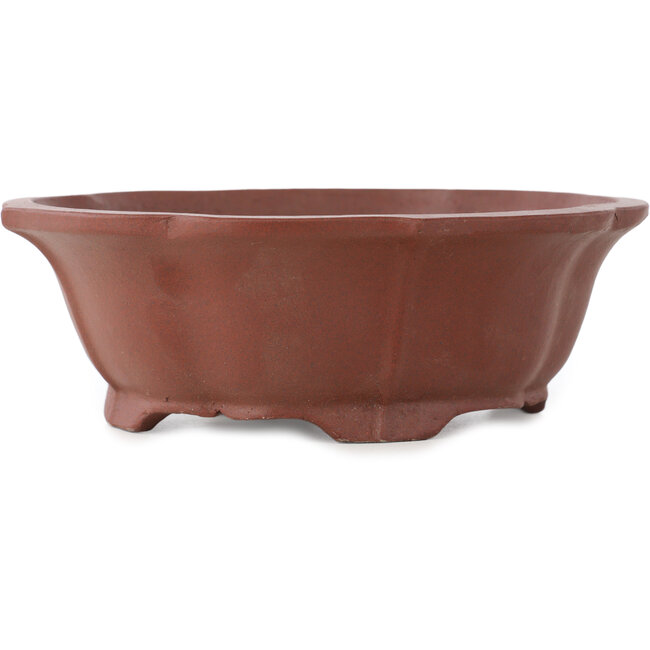 Lotus ongeglazuurde bonsai pot van Shibakatsu - 172 x 150 x 57 mm