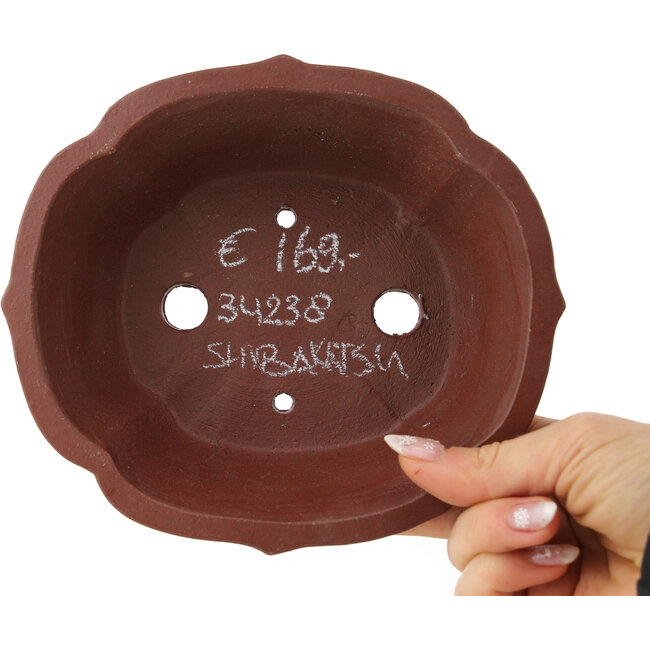 Vaso bonsai Lotus non smaltato di Shibakatsu - 172 x 150 x 57 mm
