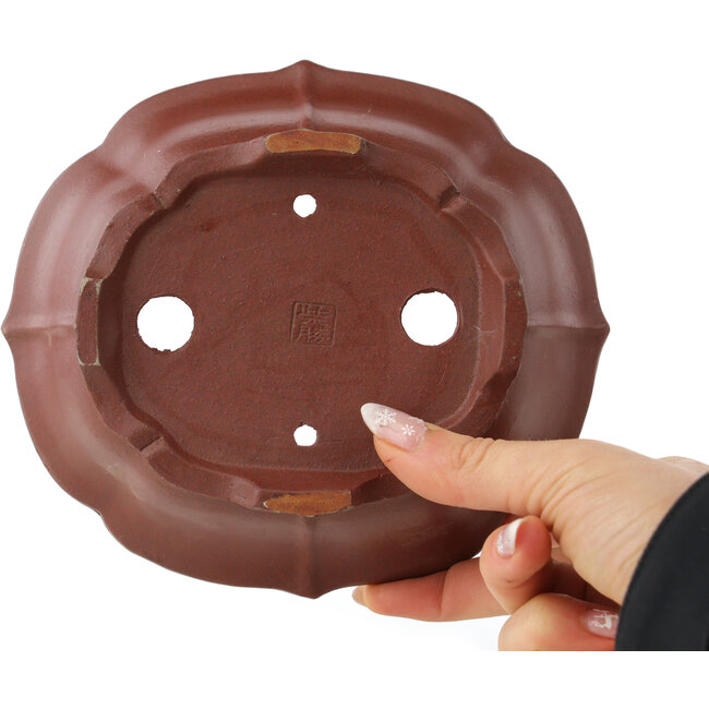 Pot à bonsaï Lotus non émaillé de Shibakatsu - 172 x 150 x 57 mm