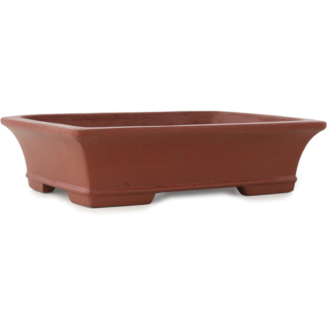 Vaso bonsai rettangolare non smaltato di Shibakatsu - 193 x 145 x 50 mm
