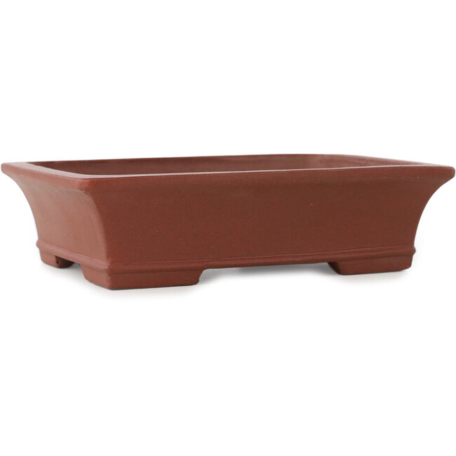 Vaso bonsai rettangolare non smaltato di Shibakatsu - 193 x 145 x 50 mm