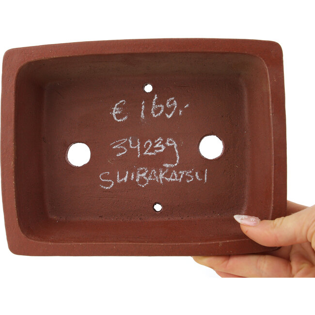 Maceta rectangular sin esmaltar para bonsái de Shibakatsu - 193 x 145 x 50 mm