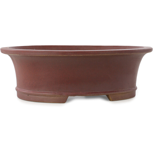 Pot à bonsaï ovale non émaillé de Shibakatsu - 185 x 160 x 60 mm