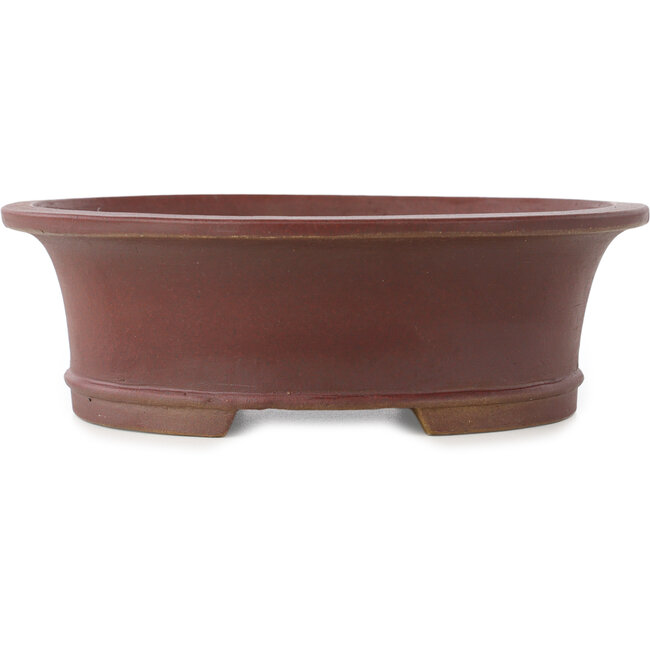 Pot à bonsaï ovale non émaillé de Shibakatsu - 185 x 160 x 60 mm