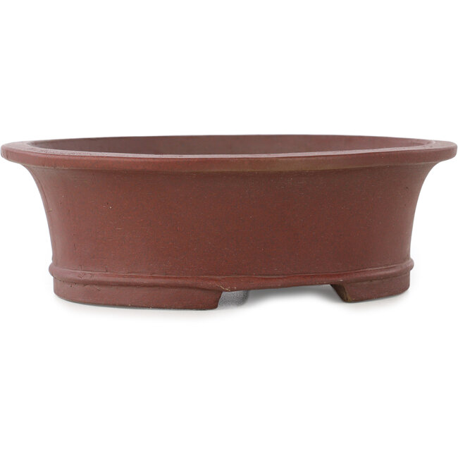 Maceta para bonsái ovalada sin esmaltar de Shibakatsu - 185 x 160 x 60 mm