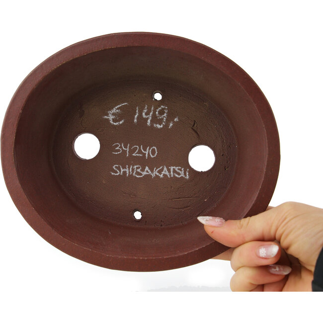 Pot à bonsaï ovale non émaillé de Shibakatsu - 185 x 160 x 60 mm