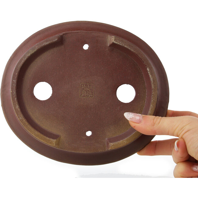 Oval unglazed bonsai pot by Shibakatsu - 185 x 160 x 60 mm