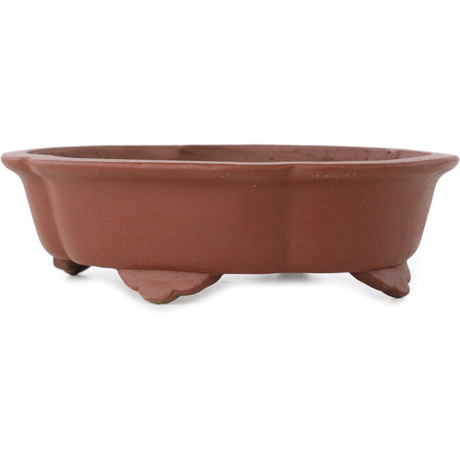 Mokko unglazed bonsai pot by Shibakatsu - 182 x 150 x 53 mm