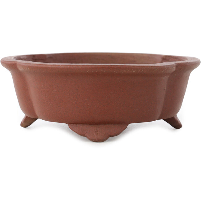 Mokko ongeglazuurde bonsai pot van Shibakatsu - 182 x 150 x 53 mm
