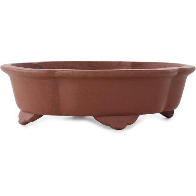 Maceta para bonsái sin esmaltar Mokko de Shibakatsu - 182 x 150 x 53 mm