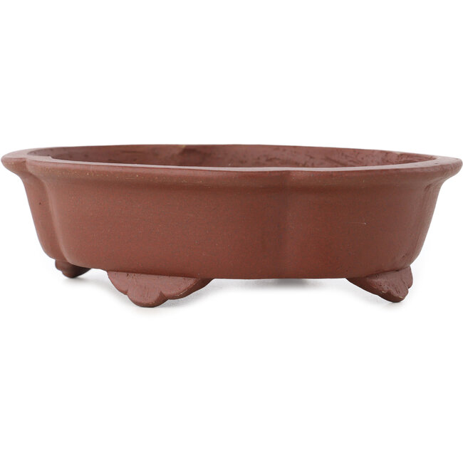 Mokko unglasierter Bonsai-Topf von Shibakatsu - 182 x 150 x 53 mm