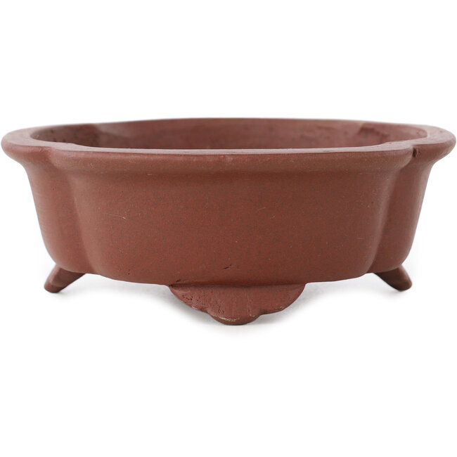Mokko ongeglazuurde bonsai pot van Shibakatsu - 182 x 150 x 53 mm