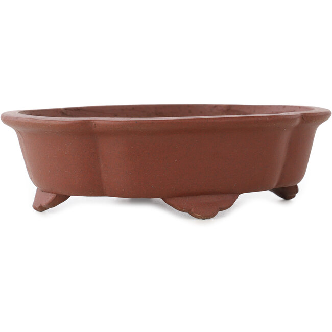 Mokko unglazed bonsai pot by Shibakatsu - 182 x 150 x 53 mm