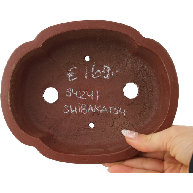 Mokko ongeglazuurde bonsai pot van Shibakatsu - 182 x 150 x 53 mm