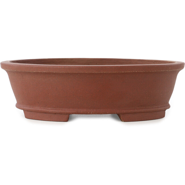 Pot à bonsaï ovale non émaillé de Shibakatsu - 185 x 157 x 53 mm