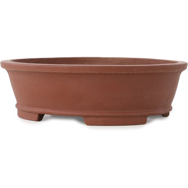 Vaso bonsai ovale non smaltato di Shibakatsu - 185 x 157 x 53 mm