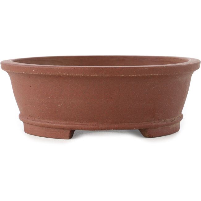 Vaso bonsai ovale non smaltato di Shibakatsu - 185 x 157 x 53 mm