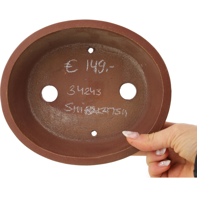 Pot à bonsaï ovale non émaillé de Shibakatsu - 185 x 157 x 53 mm