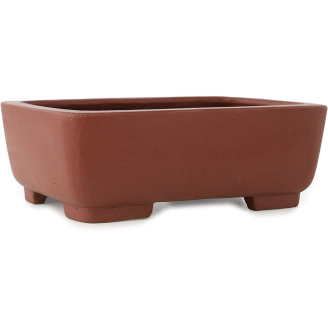 Vaso bonsai rettangolare non smaltato di Shibakatsu - 185 x 150 x 65 mm