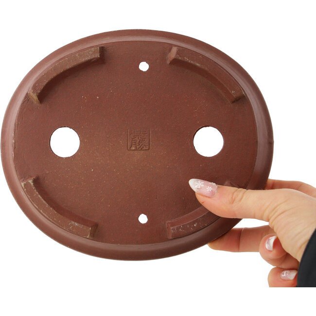 Pot à bonsaï ovale non émaillé de Shibakatsu - 185 x 157 x 53 mm