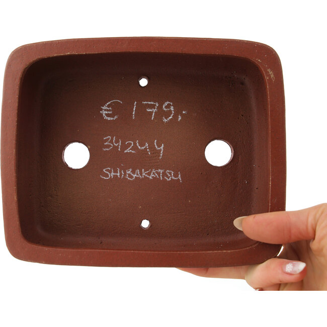 Rectangular unglazed bonsai pot by Shibakatsu - 185 x 150 x 65 mm