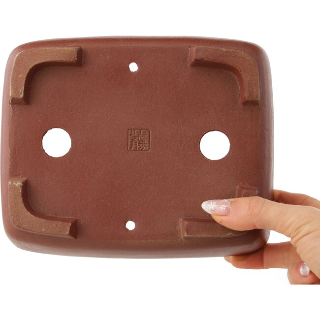 Rechthoekige ongeglazuurde bonsaipot van Shibakatsu - 185 x 150 x 65 mm