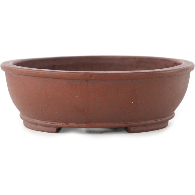 Pot à bonsaï ovale non émaillé de Shibakatsu - 155 x 125 x 40 mm
