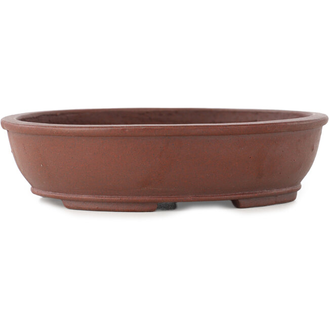 Maceta para bonsái ovalada sin esmaltar de Shibakatsu - 155 x 125 x 40 mm