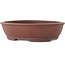 Pot à bonsaï ovale non émaillé de Shibakatsu - 155 x 125 x 40 mm