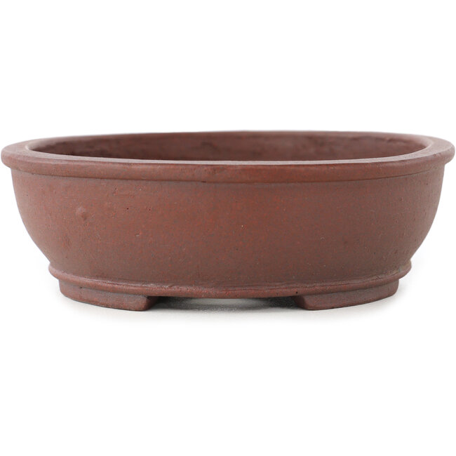 Pot à bonsaï ovale non émaillé de Shibakatsu - 155 x 125 x 40 mm