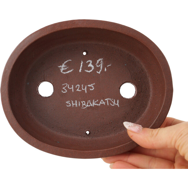 Ovale ongeglazuurde bonsaipot van Shibakatsu - 155 x 125 x 40 mm