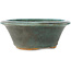 Vaso bonsai turchese rotondo - 185 x 185 x 75 mm