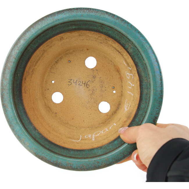 Pot à bonsaï rond turquoise - 185 x 185 x 75 mm
