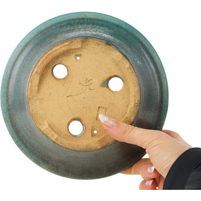 Pot à bonsaï rond turquoise - 185 x 185 x 75 mm