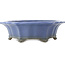Vaso bonsai Lotus blu di Shuhou - 367 x 367 x 110 mm