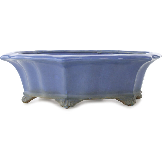 Pot à bonsaï Lotus bleu de Shuhou - 367 x 367 x 110 mm