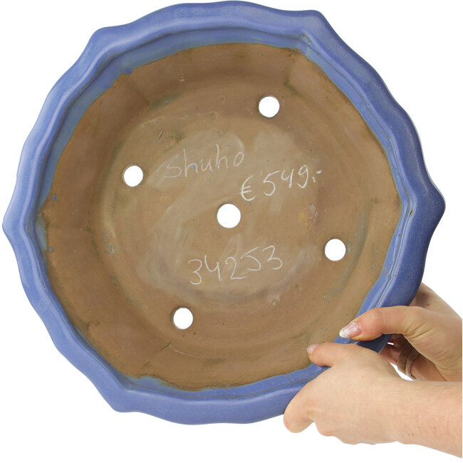 Pot à bonsaï Lotus bleu de Shuhou - 367 x 367 x 110 mm