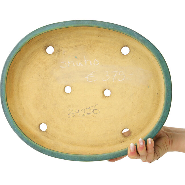 Pot à bonsaï ovale bleu sarcelle de Shuhou - 370 x 300 x 60 mm